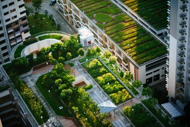 Housing Future